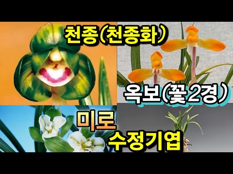 유튜브 썸네일
