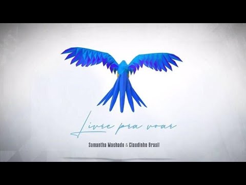 Livre Pra Voar - Samantha Machado, Claudinho Brasil