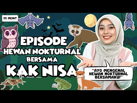 Belajar dan Bermain Episode Mengenal Hewan Nokturnal untuk Balita - Belajar Kata, Lagu Interaktif