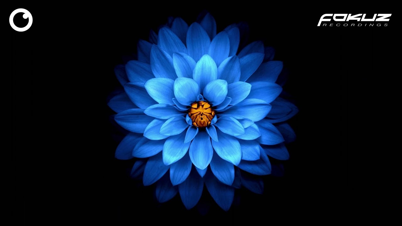 Seathasky - If I Say