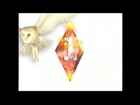 Nederland 1 Leader 1996 - 1