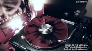 Fields Of The Nephilim - Dead To The World + From The Fire + Thirst 12  ➤ Vinyl Play