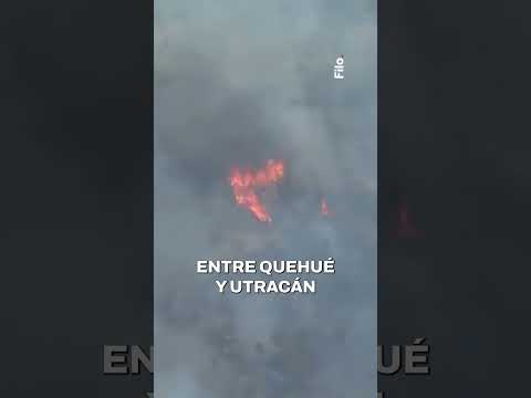 Los incendios en La Pampa ya arrasaron con al menos 83 mil hectáreas