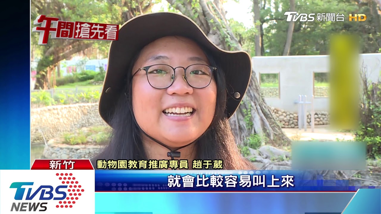 萌！浣熊大啖月餅　河馬樂樂吃「中秋」西瓜