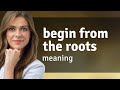 Unlocking the Essence: Begin from the Roots
