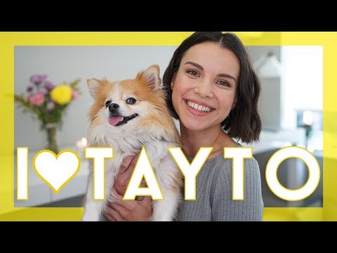 A Love Letter to My Dog Tayto | Ingrid Nilsen Video