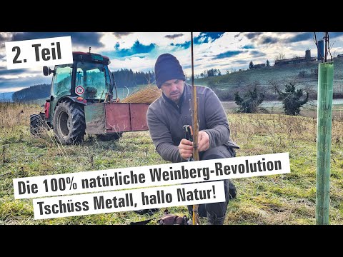 Die 100% natürliche Weinberg-Revolution? 🍷 |  Teil 2 | mit Herzblut zum Wein Vlog #386