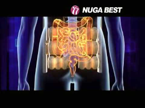 Nuga Best Thermal Massage Bed - Nuga Medical Company, Korea