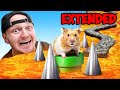 $100,000 Hamster Maze Race! Can They EXIT? - EXTENDED