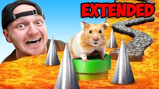 $100,000 Hamster Maze Race! Can They EXIT - EXTENDED