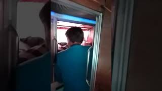 Bus fight