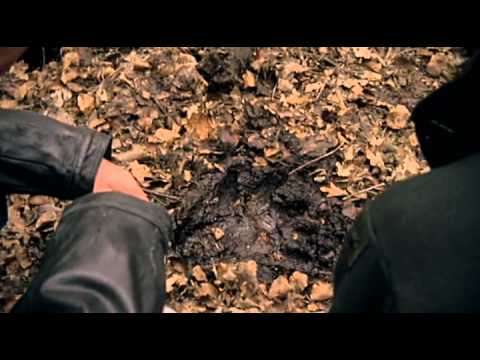 Primeval Staffel 1 Folge 1