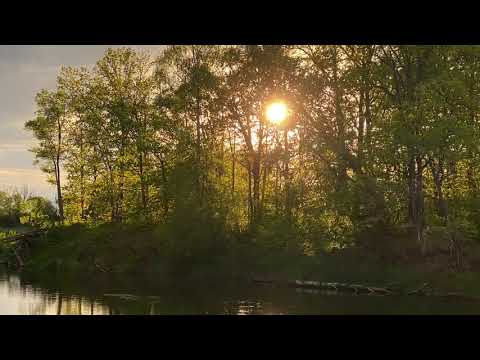 На Клязьме.