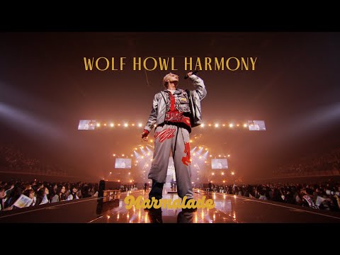 WOLF HOWL HARMONY / 