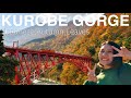 TOYAMA The Beautiful Autumn Leaves In Kurobe Gorge Japan Travel Vlog