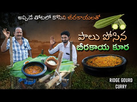 పాలు - బీరకాయ