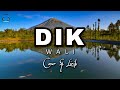 DIK - WALI (Cover & Lirik)