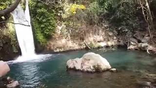 Israel's Oasis Inspires Our Fountains.