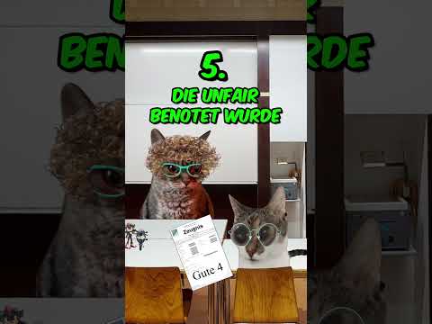 ZEUGNISSE | Arten von Schülern Ich bin Nr 5 🤔 #katzenvideos  #katzen  #zeugnis  #schule  #shorts