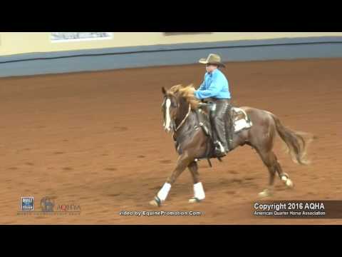 CD DEE VEE DEE ridden by CUTTER W MCLAUGHLIN  - 2016 AQHYA World Show (Working Cow Horse, FINALS)