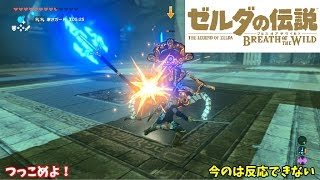 【ゆっくり実況】野生の息吹を駆ける。その②