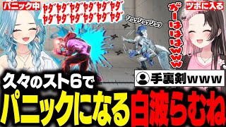 【スト6】久々のスト6でパニックになり手裏剣を投げ始めるらむちや他責するたぬき忍者に爆笑するひなーの【白波らむね/橘ひなの/k4sen/zerost/たぬき忍者/とおこ/ぶいすぽ/切り抜き】
