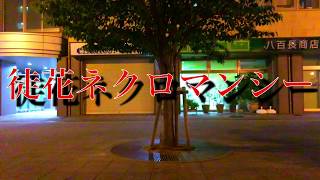 【踊ってみた】好きなように「徒花ネクロマンシー」を踊ってみた！！