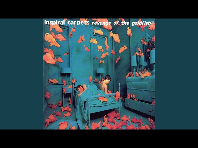 Inspiral Carpets: la band britannica che ha definito il sound del Madchester