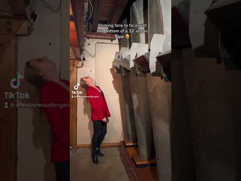 Boardwalk hall, Atlantic City 😍 #organtok #pipeorgan #boardwalkhall #organ #pipe #classicalmusic