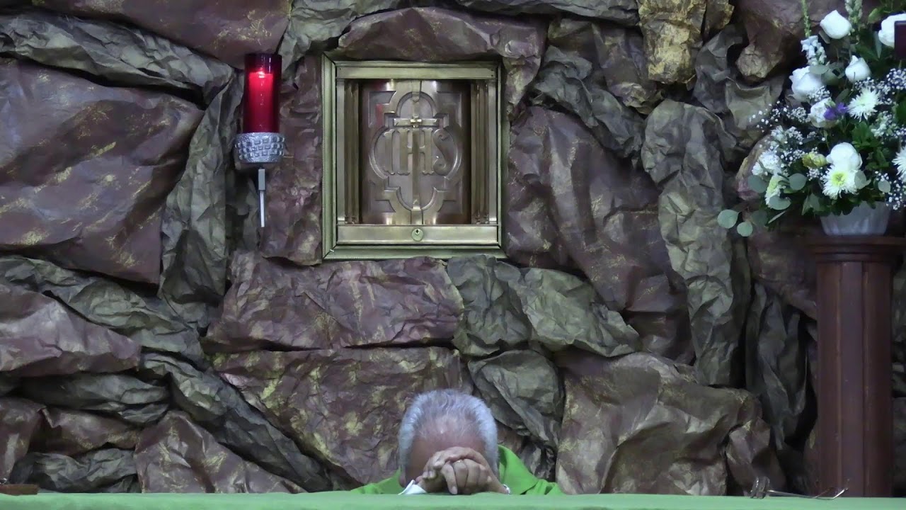 HORA SANTA Y SANTA MISA JUEVES 14 DE NOVIEMBRE DE 2024