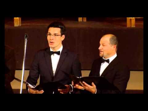 Akord Media - Steaua Sa