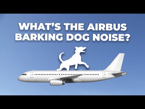 What Is The Strange Barking Noise Some Airbus Aircraft Make?