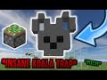 INSANE KOALA TRAP RICH Minecraft HCF