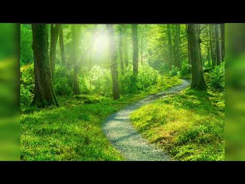 Vierro & Chukkie  - Times like these (original studio version)