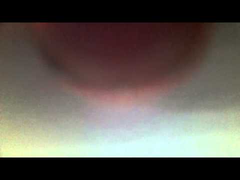 Hvad smager bedst Kage eller Kage ??