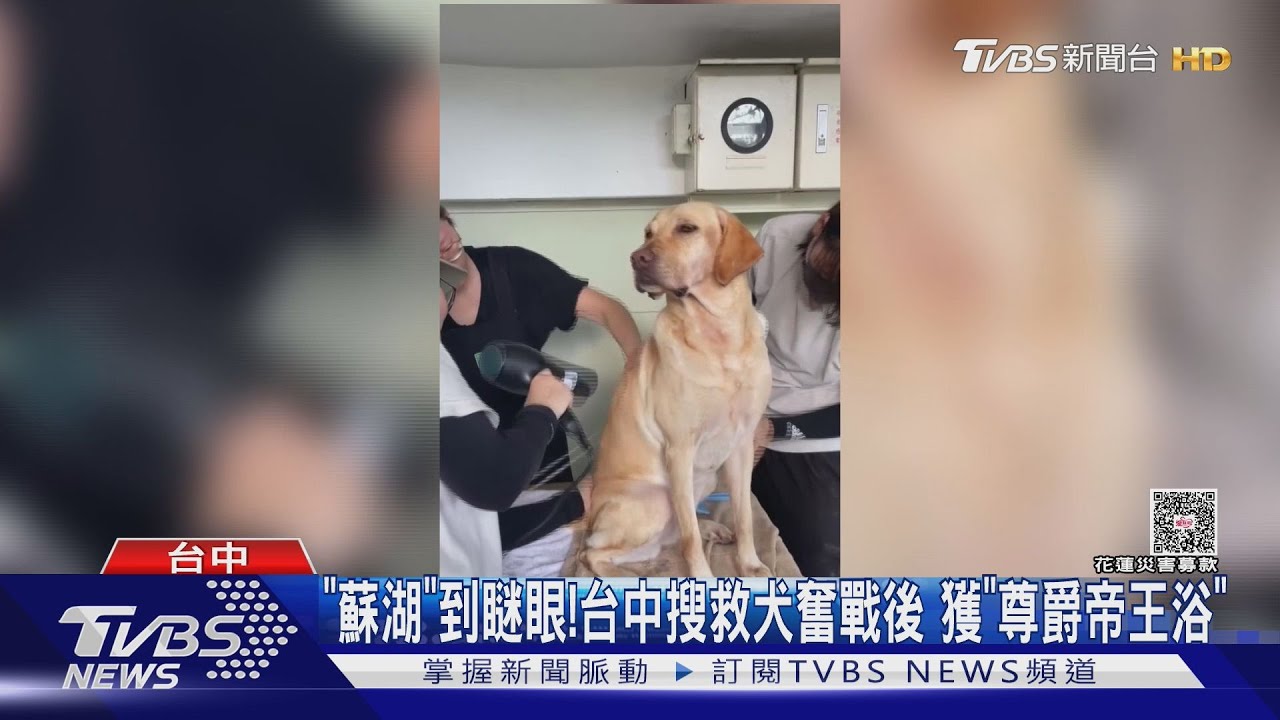 花蓮搜救犬奮戰後獲「帝王級待遇」!三隻毛孩英雄滿身泥濘 志工幫洗香香