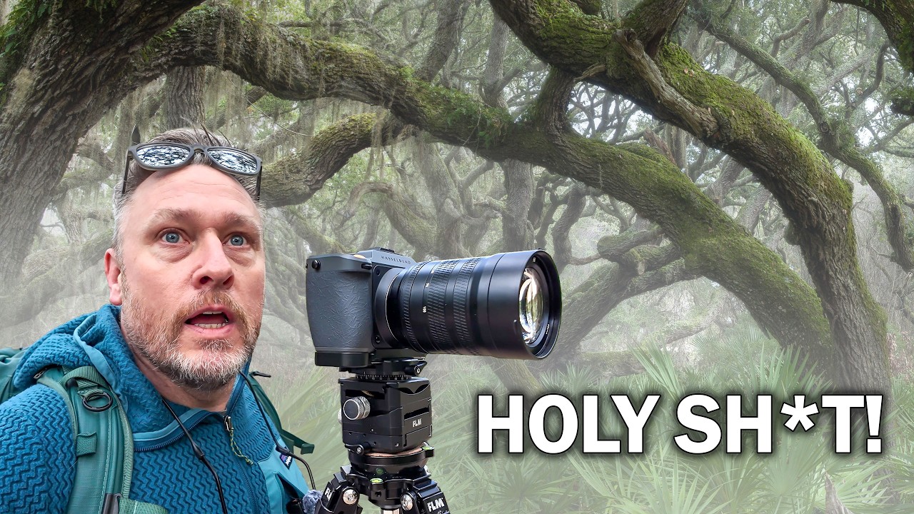 The Most Beautiful Forest In The World That Nobody Talks About