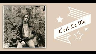 Robbie Nevil - C&#39;est La Vie {WITH LYRICS}