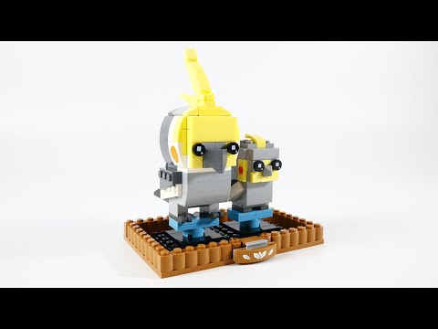 Vidéo LEGO BrickHeadz 40481 : La perruche calopsitte