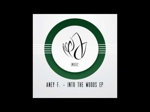 Aney F. - Into The Woods (Original Mix) - Innocent Music