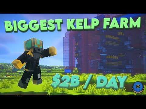 I Built the BIGGEST Kelp Farm on Donut SMP