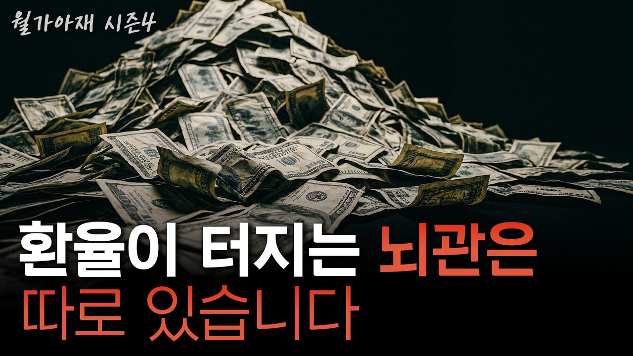 [월가아재] 환율은 어디까지 갈까? 외환위기를 미리 읽는 6가지 신호 | 한국은 '언제' 외환위기를 겪는가 2?