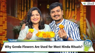 Why Genda Flowers Are Used for Most Hindu Rituals and Festivals?