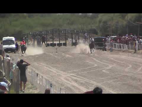 MAINQUE   8°  AUCA LLANERO  5-2-23