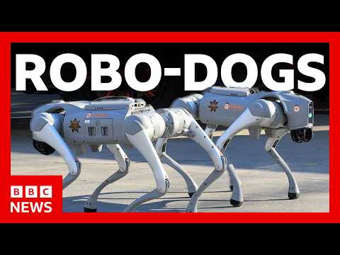 Robo-dogs, protests and the World Cup: Inside Mexico 2026 | BBC News