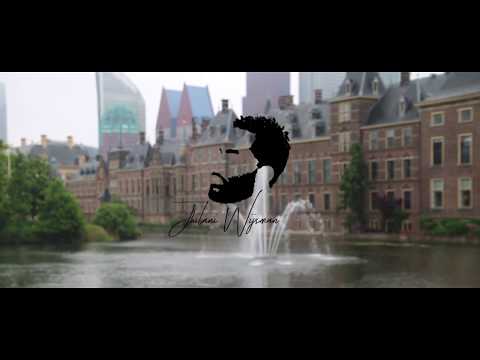 Jhilani Wijsman - Mijn stad Den Haag