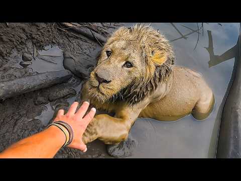 45 Hero People that Saved Animals' Lives