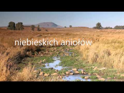 Raduj się, człowiecze