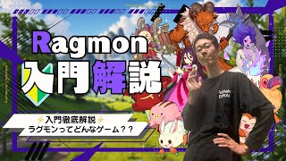 【ROMW】ラグモン入門解説！