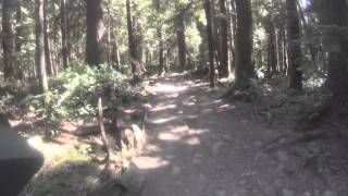 Very technical - what you hear of from Vancouver North Shore Trails.